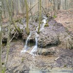 IMG 20180203 150224