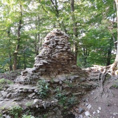 IMG 20200526 191102673