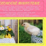 minifotenie