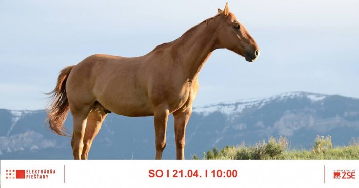 sedlo