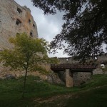 241173854 4483544458333323 1962009474236799869 n