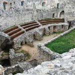 241174856 4483539078333861 3398737425488983741 n