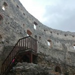 241179492 4483543935000042 6139722089364107473 n