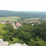 241181289 4483543321666770 6811069369377471398 n