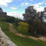 241183484 4483540025000433 9105456569591329614 n