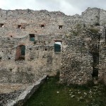 241215786 4483542758333493 3866504692417996617 n