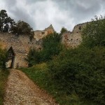 241310989 4483539538333815 6159470828286694770 n