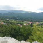 241570530 4483543151666787 7881149673963042758 n