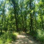 opnicky hrad 7 Fotor