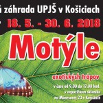 motyle 2018 plagat