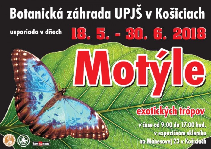 motyle 2018 plagat