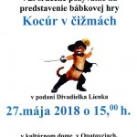 kocur v cizmach small