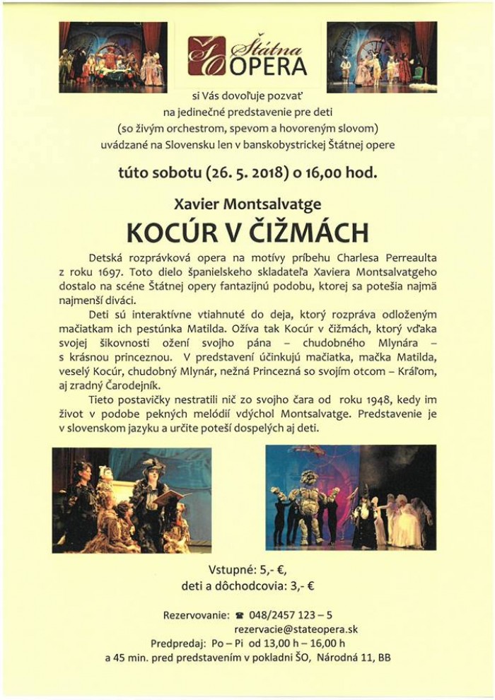 kocur
