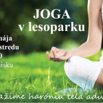 Joga v lesoparku 580