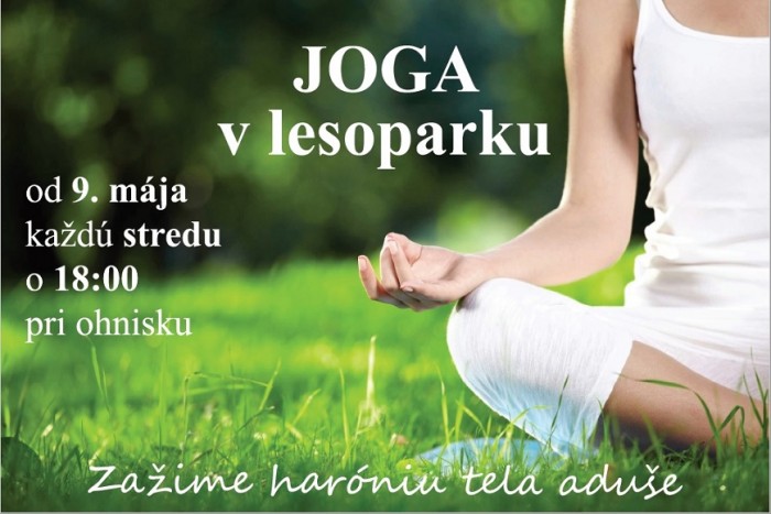 Joga v lesoparku 580