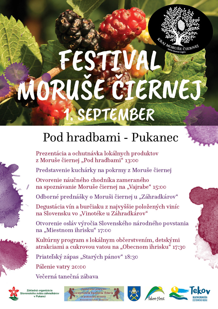 festival morus