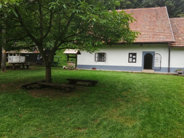 bohunice