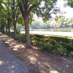 IMG 20180812 093952 29