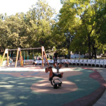 IMG 20180812 100123 29