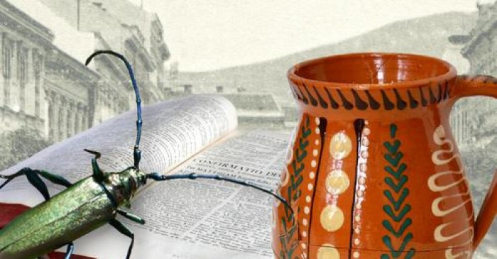 17848620397838015568