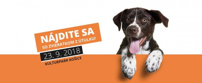 41447362 2033995803506317 3779738324772585472 n