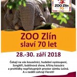 70let zoo 1