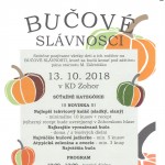 bucovy festival 1