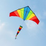 free shipping high quality large rainbow kite with windsock animal kite reels flying bird toy flying.jpg 640x640