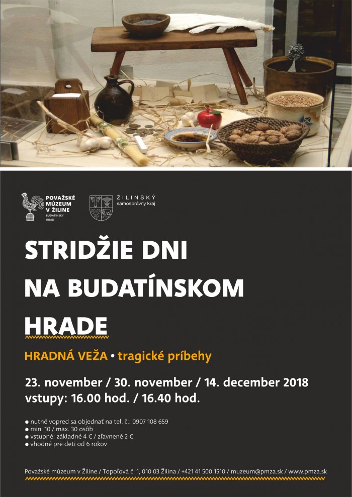 stridzie dni www