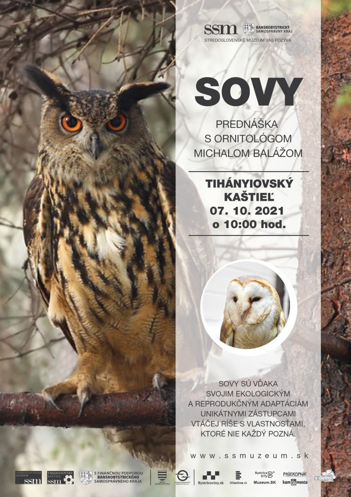 244412683 5020831331279534 3034812763121085757 n