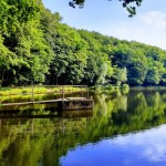 IMG 20190720 085323042 HDR EFFECTS