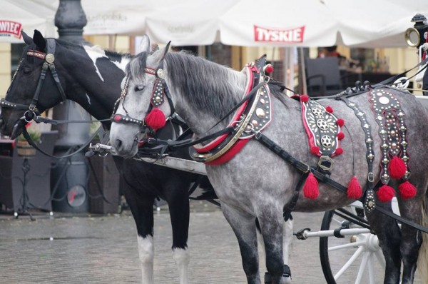 krakow 4