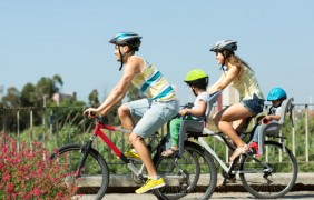 sports family 1398 4776