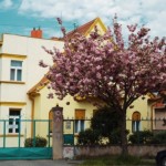 preschool academy sukromna skolka nitra foto