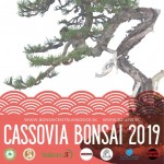 bonsaje april2019