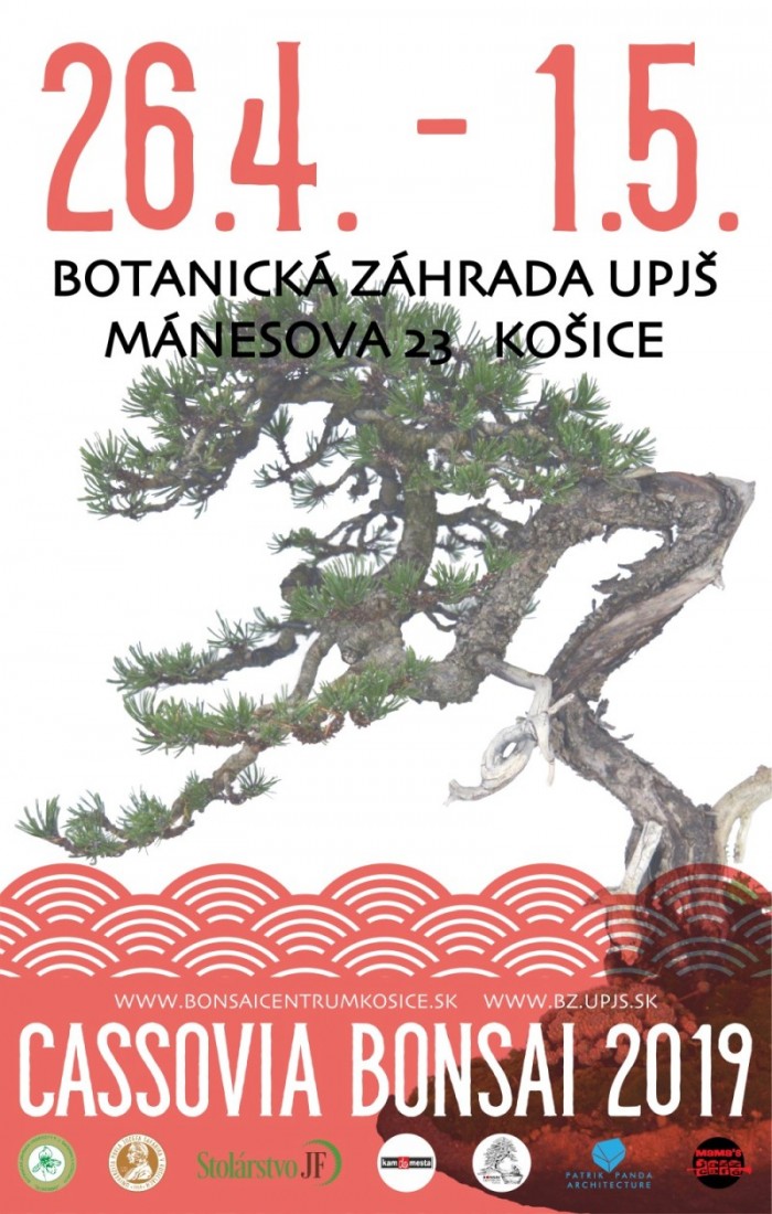 bonsaje april2019