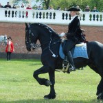 Maibaumfest und Tierumzug SKB Jutta Kirchner 1