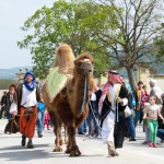 Maibaumfest und Tierumzug SKB Jutta Kirchner 9