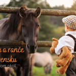 FB prispevok