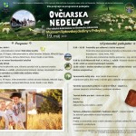 59760263 2337789079574731 6320531756067848192 o