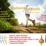 madunicky cibulak 2019