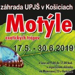 motyle 2019 plagat