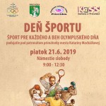 Den sportu plagat 002