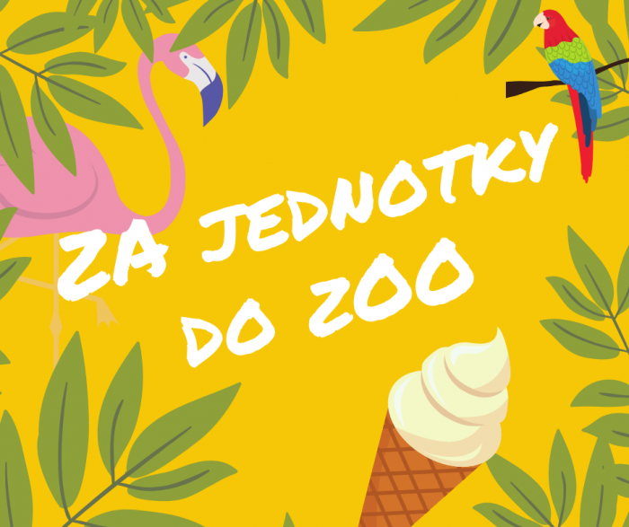 65263231 2905254932824092 8499683641050267648 n