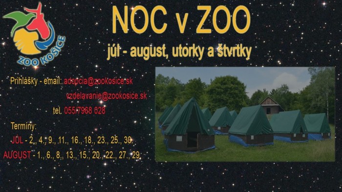 noc v zoo