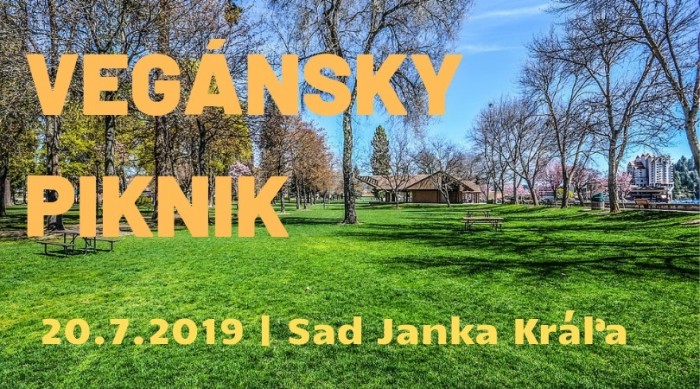 66264643 2160485690910036 8801140235846025216 n