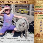 popoludnia na dvore