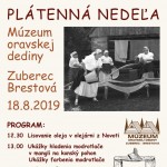 Platenna nedela 2019 725x1024