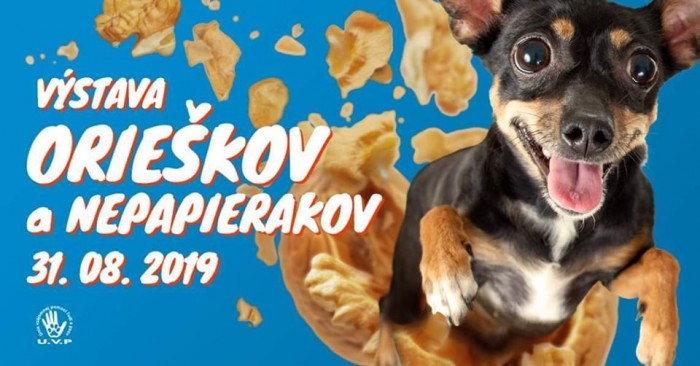 vystava orieskov