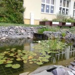 avespark22